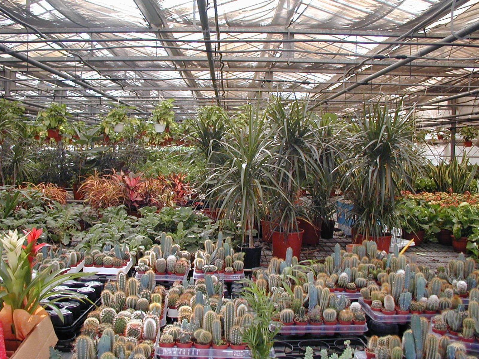 Vila Societa Agricola Mg Florplant Francavilla Marittima Exteriér fotografie