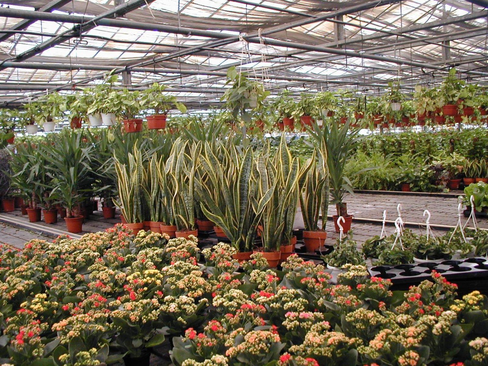 Vila Societa Agricola Mg Florplant Francavilla Marittima Exteriér fotografie